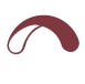 Canopgy Logo
